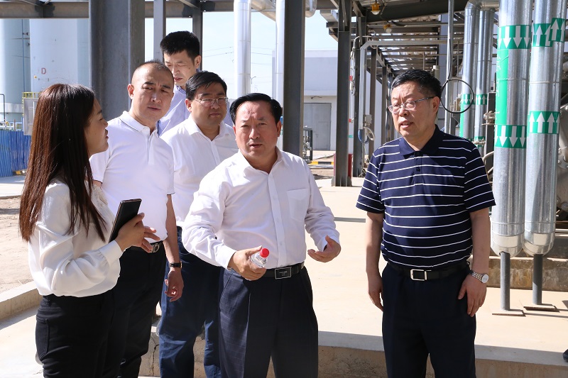 中科院院士李灿一行来新区调研“液态阳光”项目 - 申博官网要闻 - 新闻动态