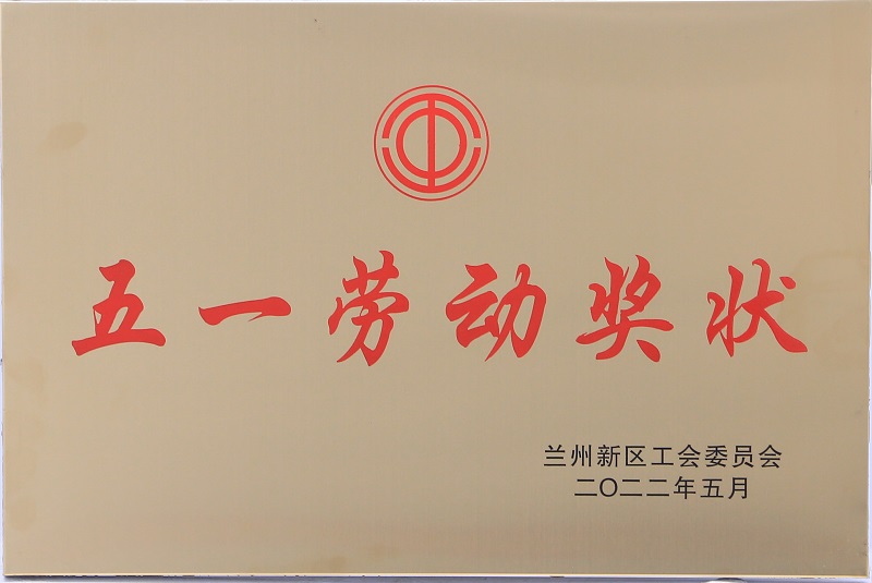 五一劳动奖状-化学工程公司 - 资质声誉 - 关于申博官网